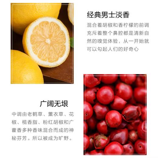 DIOR迪奥旷野之心男士香水60ml 商品图4