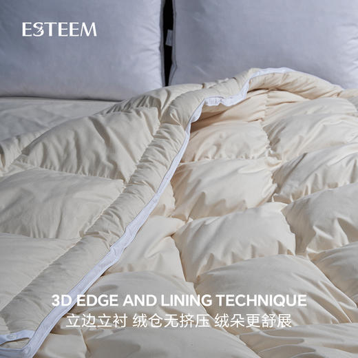 无染之境生态有机棉白鹅绒冬被 商品图3