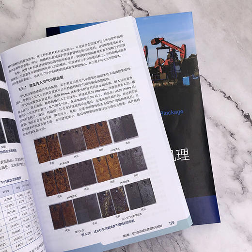 油气开采井筒腐蚀结垢与堵塞机理 商品图5