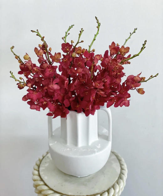 泰国-【千代兰】红 商品图0