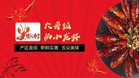 10元现场消费券（仅限膳食唐小龙虾美食文化节使用）