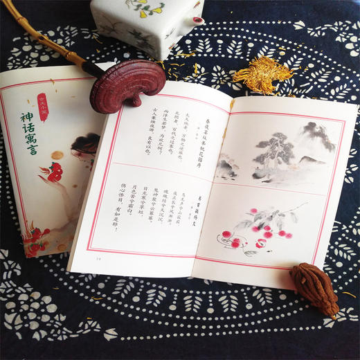 陪孩子读小古文·神话寓言·大家名篇（全2册） 荣获冰心儿童图画书奖，越过古文的千山万水，陪孩子寻访一个个有趣的灵魂。 附赠古文小笺2册，免费听音频，300册个性签名小画随机发。康震教授推荐 商品图4