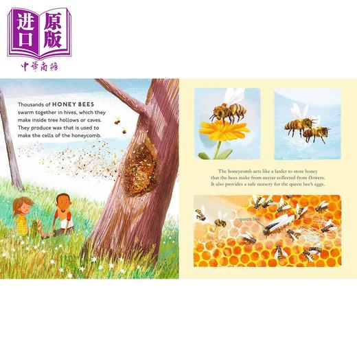 【中商原版】Amazing Animal Homes 动物之家 英文原版 进口图书 儿童绘本 动物图画书 少儿知识百科图书 精品绘本 亲子童书 商品图3