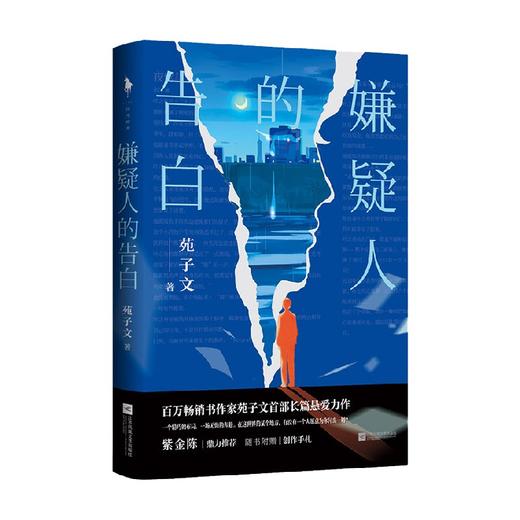 嫌疑人的告白 苑子文 著 青春文学 商品图3