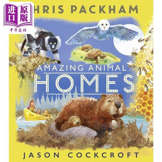 【中商原版】Amazing Animal Homes 动物之家 英文原版 进口图书 儿童绘本 动物图画书 少儿知识百科图书 精品绘本 亲子童书 商品图0