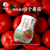 遵循自然本味番茄沙司340g 商品缩略图4