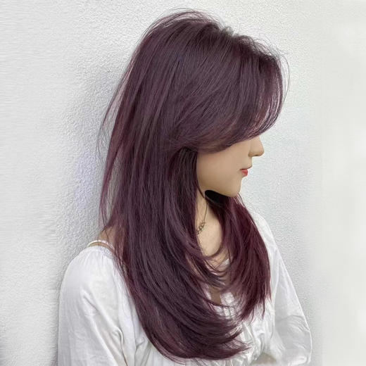 丝艺专业美发工具女梳 2023年显白高级发色6/56树莓红染膏 商品图2