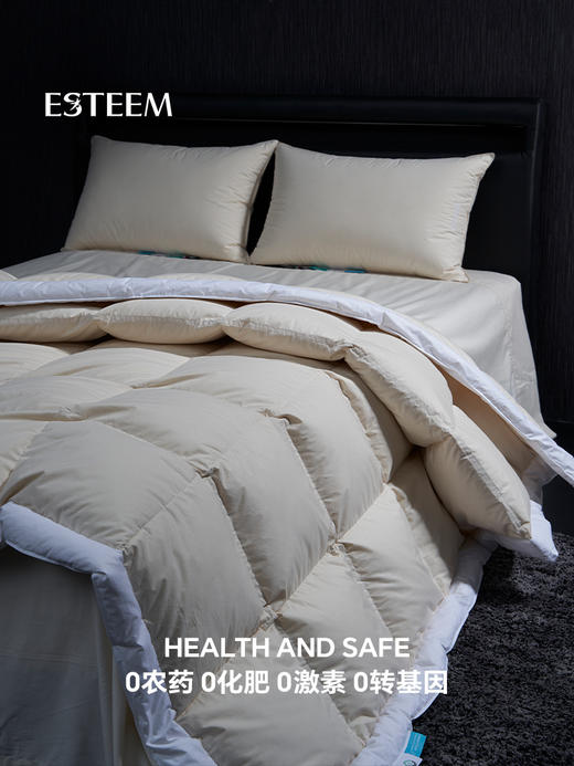 无染之境生态有机棉白鹅绒四季被 商品图9