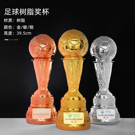 体育运动金属水晶奖杯定制员工团队学校学生友谊比赛篮球足球荣誉 商品图2