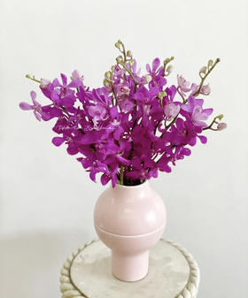 泰国-【千代兰】紫