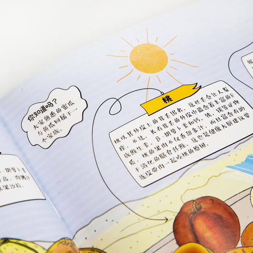 健康小吃货 专为5-10岁孩子定制的食商科普图画书！超有创意、超全面的健康饮食趣味小百科。还有丰富的观察、探索与动手制作环节，让孩子爱上阅读，成为小小生活家，从身边开始探索奇妙世界 商品图3