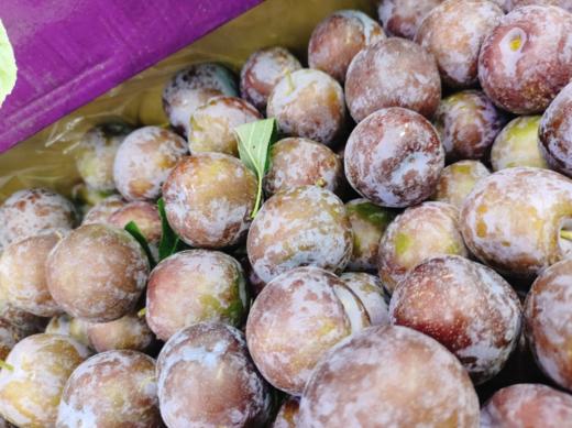 青红脆李一箱（拼团） 商品图1