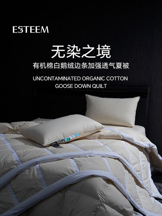 无染之境生态有机棉白鹅绒夏被 商品图5