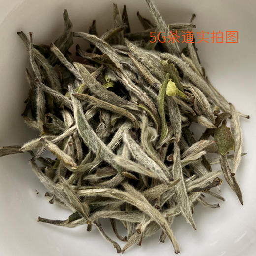福鼎白茶 | 小城之春 2023 白毫银针 磻溪黄六坪 250g 商品图1