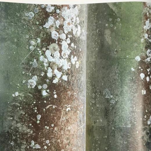 万物表象：令人惊奇的科学影像 数十幅彩色插图 平装16开 商品图7