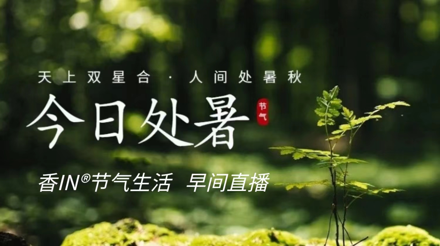 节气生活 处暑早直播