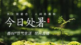 节气生活 处暑早直播