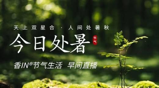 节气生活 处暑早直播 商品图0