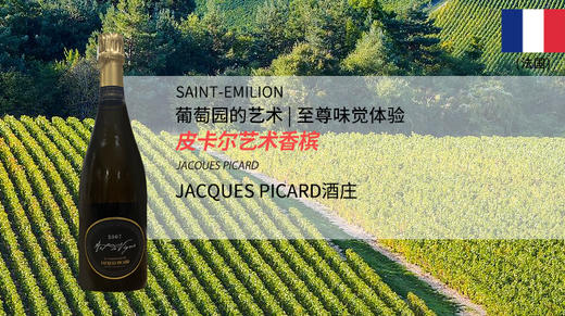 法国-皮卡尔艺术香槟 商品图0