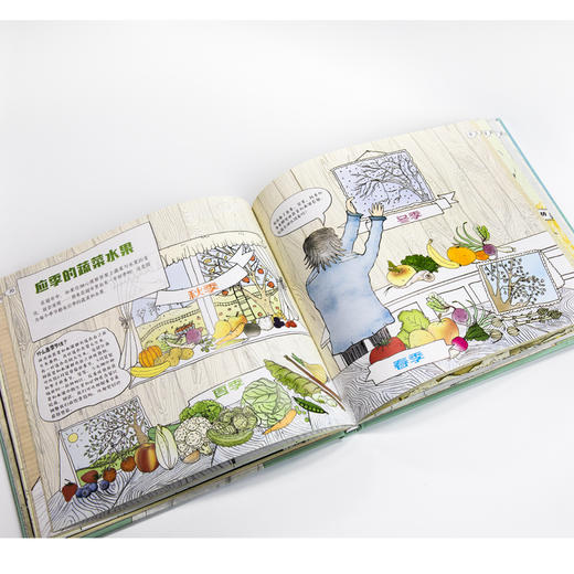 健康小吃货 专为5-10岁孩子定制的食商科普图画书！超有创意、超全面的健康饮食趣味小百科。还有丰富的观察、探索与动手制作环节，让孩子爱上阅读，成为小小生活家，从身边开始探索奇妙世界 商品图4