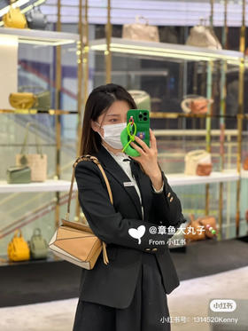 罗威高定迷你几何包