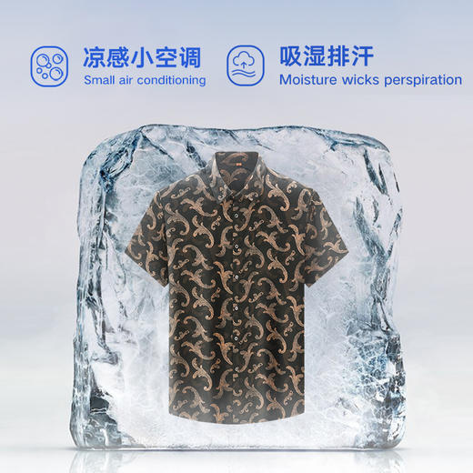 【桑蚕丝】【新款DWP】大依优型大码桑蚕丝加肥加大衬衫男士胖子透气顺滑男装半袖花衬衫 商品图2