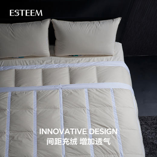 无染之境生态有机棉白鹅绒夏被 商品图3