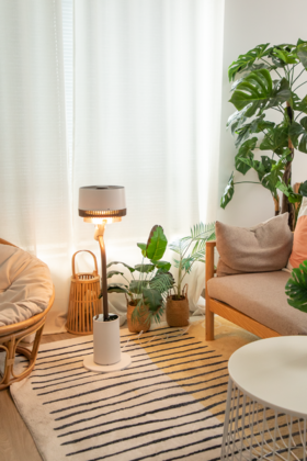 点亮每个夜晚 清凉每个盛夏