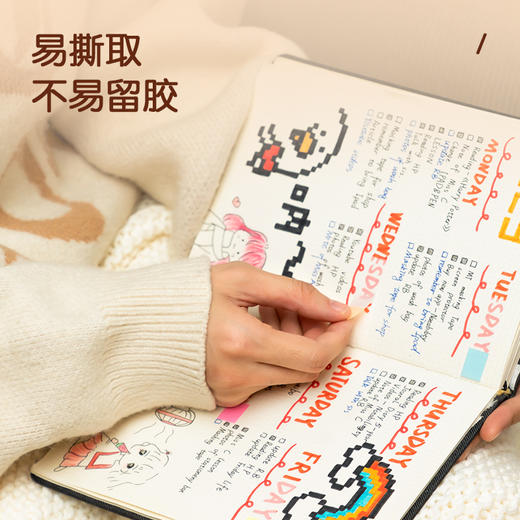 得力指示标签9062(混)12*44mm 商品图4