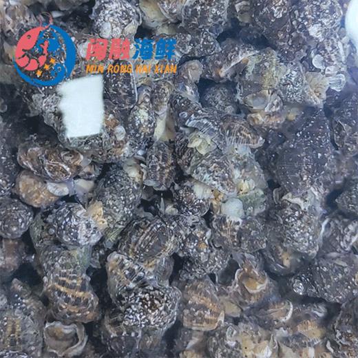 苦螺 /斤 商品图0