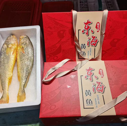 冷链包邮到家！浙江台州大陈岛黄鱼，优越的水质、原生态的放养方式铸就了海洋水产中的名品，体型匀称、色泽鲜艳、肉质无泥腥味并呈蒜瓣状，该产品已通过无公害产品认证和有机产品认证，0.8-1斤/条 商品图3