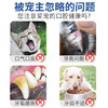 【宠物用品】雪貂宠物猫咪狗狗专用牙膏牙刷套装 商品缩略图1
