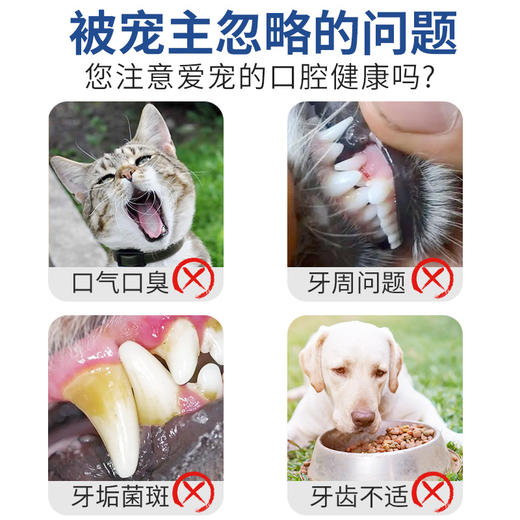 【宠物用品】雪貂宠物猫咪狗狗专用牙膏牙刷套装 商品图1