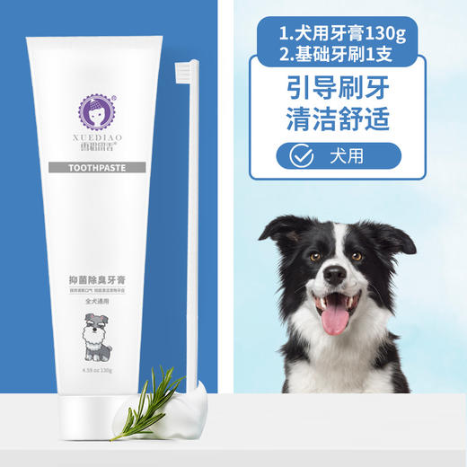 【宠物用品】雪貂宠物猫咪狗狗专用牙膏牙刷套装 商品图6