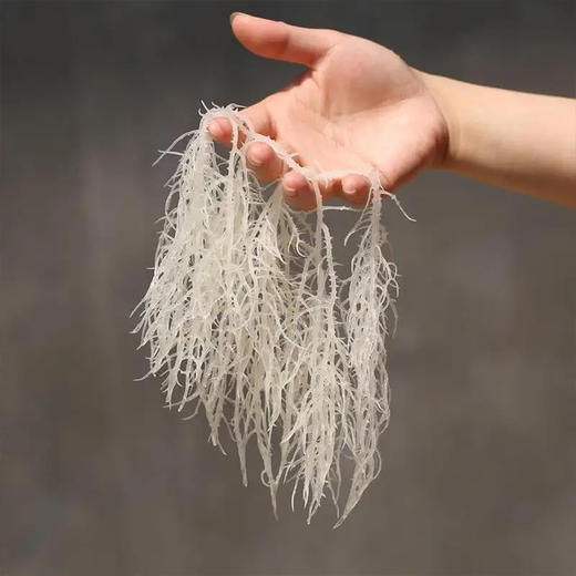 鲁泓海 龙须菜 150g/袋*3袋/5袋 商品图3