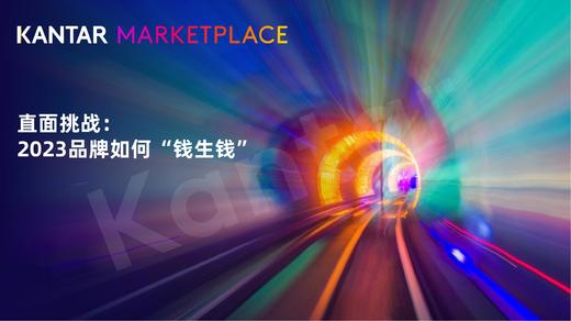 《全球消费者动态与2023品牌营销策略》：2023品牌们如何“钱生钱”？ 商品图0