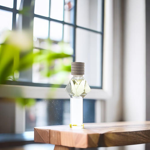 柠檬天竺葵车载香薰 商品图2