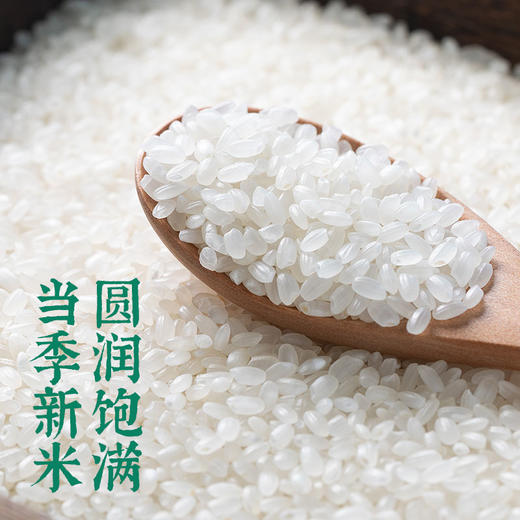 积分换购 | 袁隆平大米 碱地臻香5kg 新米珍珠米 蟹田米[福利品] 商品图2