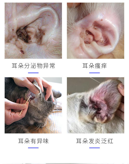 【宠物用品】雪貂宠物滴耳液耳漂耳康去耳螨耳油 商品图2