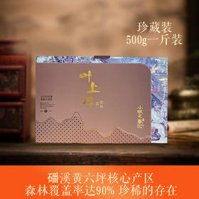 福鼎白茶 | 小城之春 2023 一级白牡丹 磻溪黄六坪 500g
