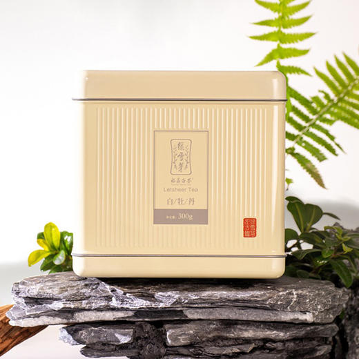 福鼎白茶丨绿雪芽 2023正方罐白牡丹散茶 礼盒装 300g 商品图1