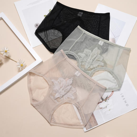 5F-Ahpeena爱比娜内裤 商品图0