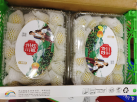 三生有杏一盒（拼团）