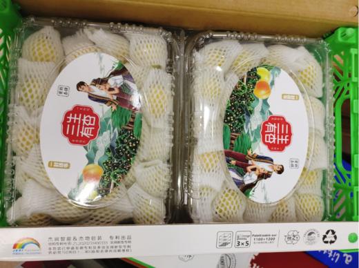 三生有杏一盒（拼团） 商品图0