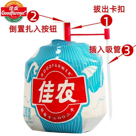 周三配送！长在树上的“矿泉水”，富含大量蛋白质、维生素及矿物质！低热量、低碳水化合物、无胆固醇、无脂肪等，营养丰厚！ 入口甘甜、汁水丰沛，细腻清爽！椰香浓郁、椰肉白嫩厚实，香软嫩滑！一箱9粒 商品图1