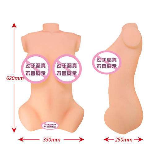 【WILDONE】 JULIA朱丽叶 京香 倒模 商品图3