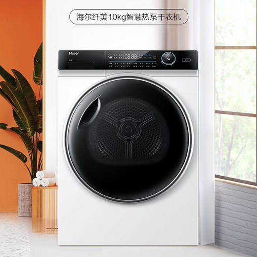 海尔（Haier）洗烘套装 XQG100-B12176WU1+HG100-F176WU1 商品图4