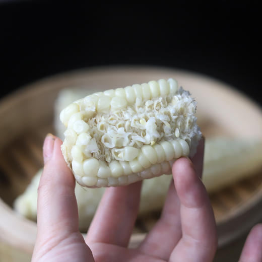 生态新津水果玉米 | 合作生产*Eco-Fruit corn  | Coproduction 商品图2