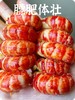 阳澄湖 清水小龙虾 商品缩略图5