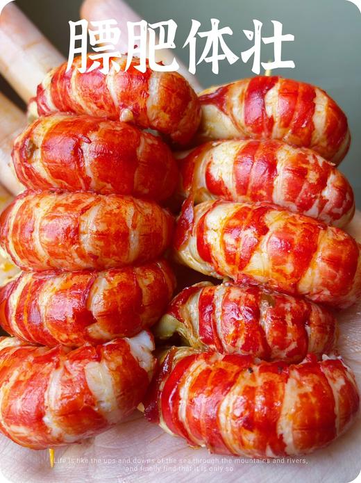 阳澄湖 清水小龙虾 商品图5